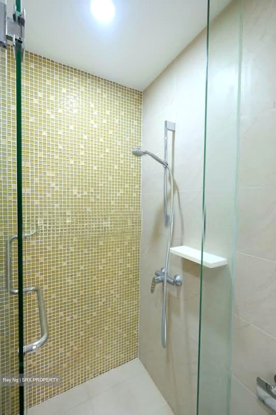The Miltonia Residences (D27), Condominium #557421231